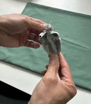 Two hands holding a 3D printed heart